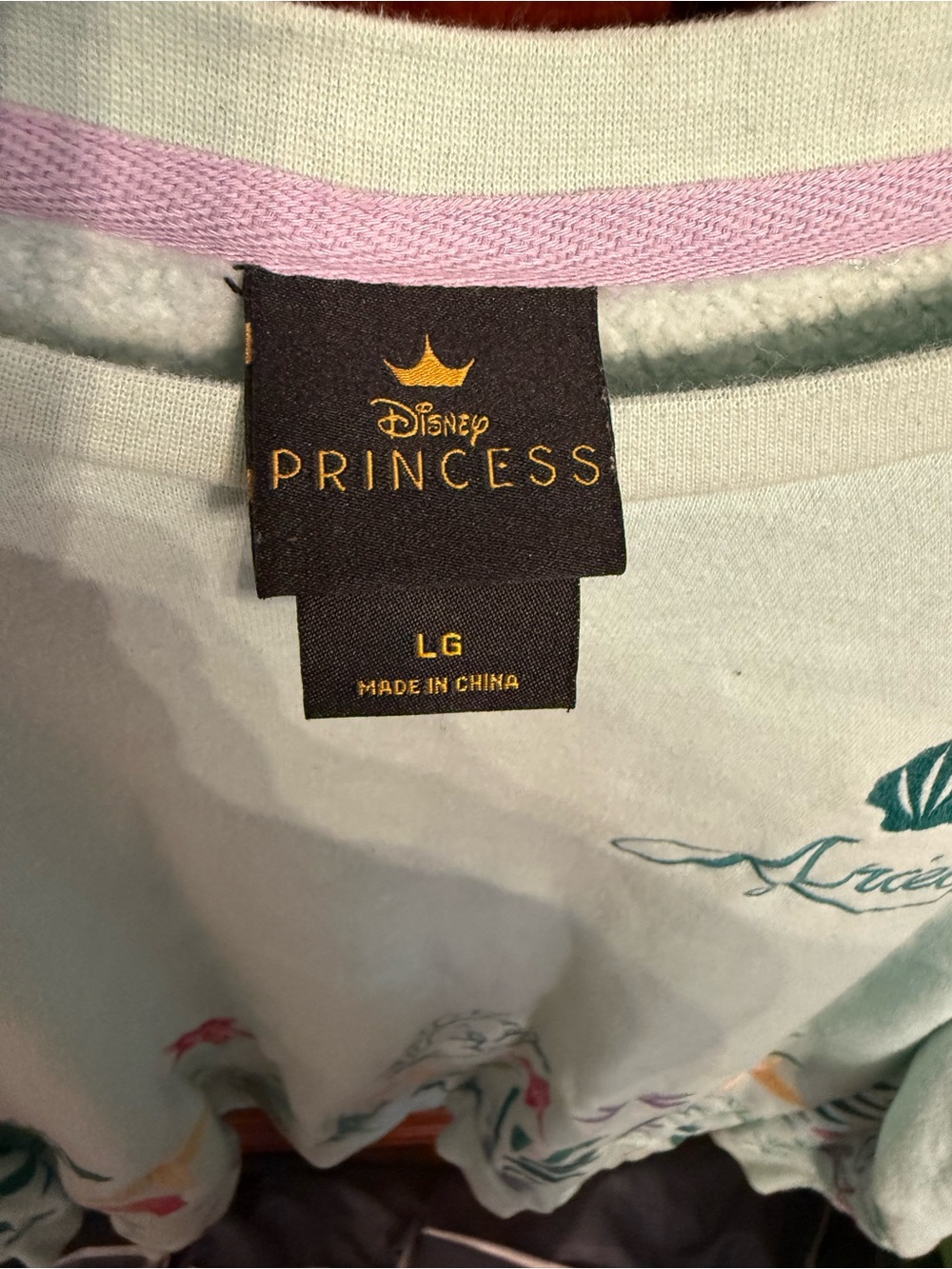Ariel Embroidered Crewneck Sweatshirt - Light Seafoam - Picture 3 of 3